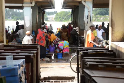 DSC_7594 (Large).JPG